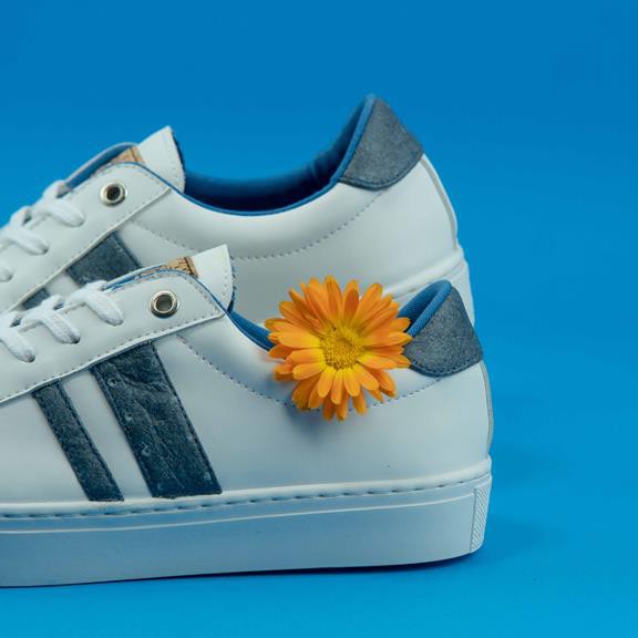 Sneakers Ames Blue Stripe from Shop Like You Give a Damn
