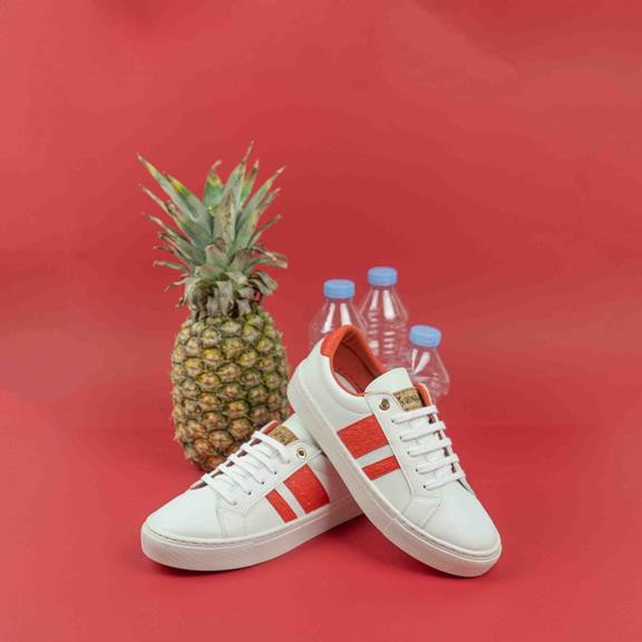 Sneakers Ames Perky Paprika from Shop Like You Give a Damn