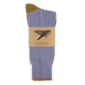 caburn organic cotton sock from Silverstick