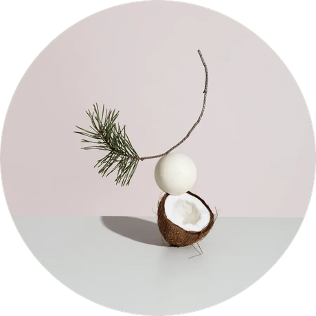 Salt Soap Ball Pine Peppermint from Skin Matter