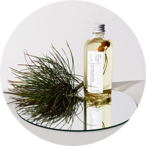 Pine Sea Buckthorn Sense Oil for Face, Body and Hair from Skin Matter