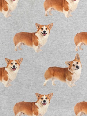 Corgi Time Sweater Kids from SNURK