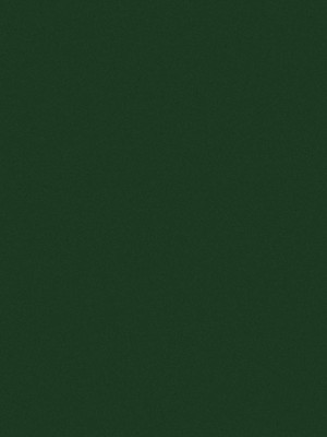 Dark Green Pants Men from SNURK