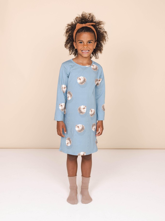 Hedgy Blue Dress long sleeve Kids from SNURK