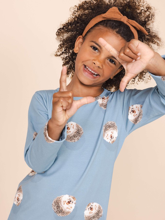 Hedgy Blue Dress long sleeve Kids from SNURK