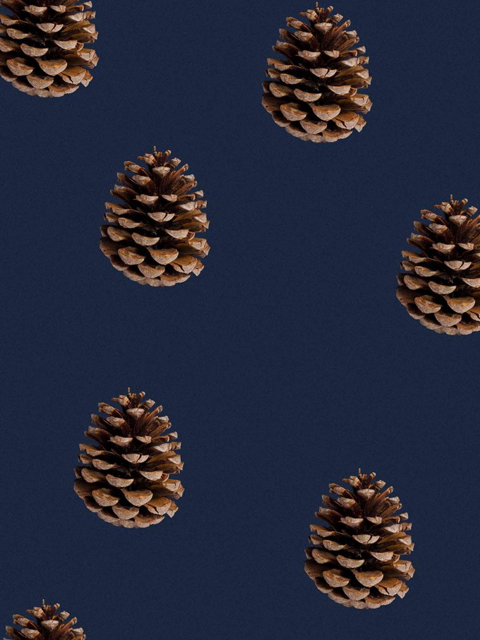 Pinecones Pants Unisex from SNURK