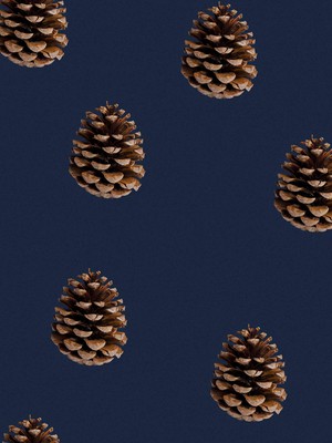 Pinecones Pants Unisex from SNURK