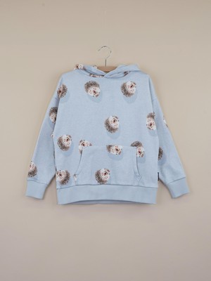 Hedgy Grey Oversized hoodie Kids from SNURK