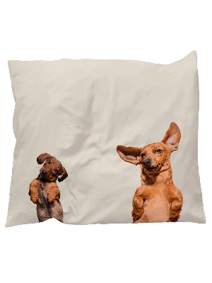 Dachshund Friends pillowcase from SNURK