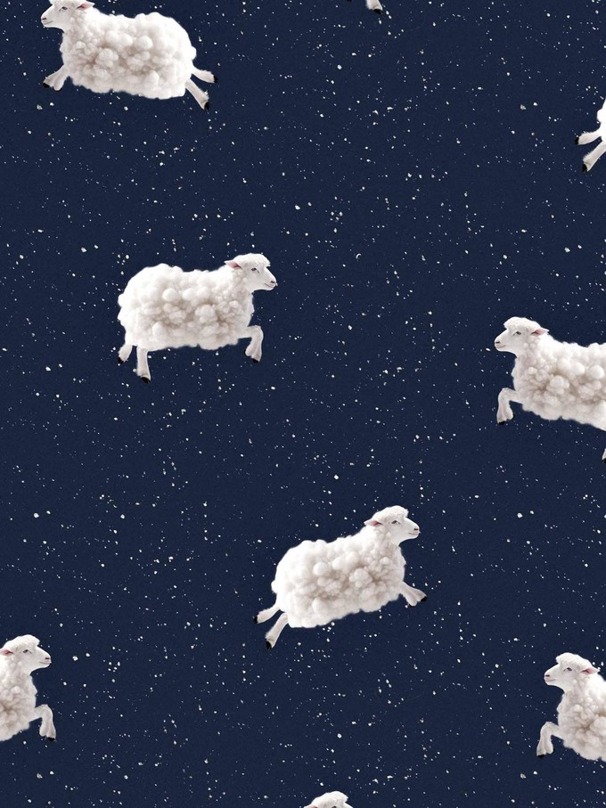 Counting Sheep Longsleeve T-shirt Kids from SNURK