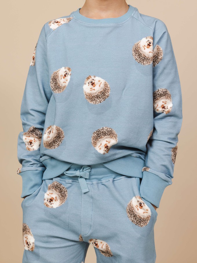 Hedgy Blue Sweater Kinderen from SNURK