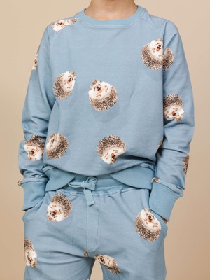 Hedgy Blue Sweater Kinderen from SNURK