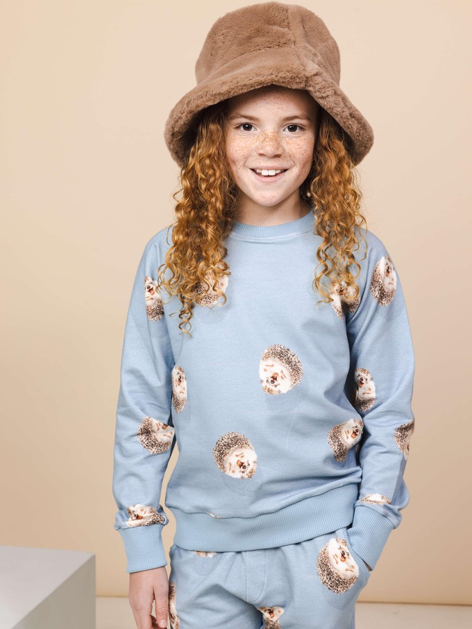 Hedgy Blue Sweater Kinderen from SNURK