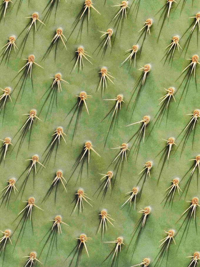 Cozy Cactus Shorts Women from SNURK