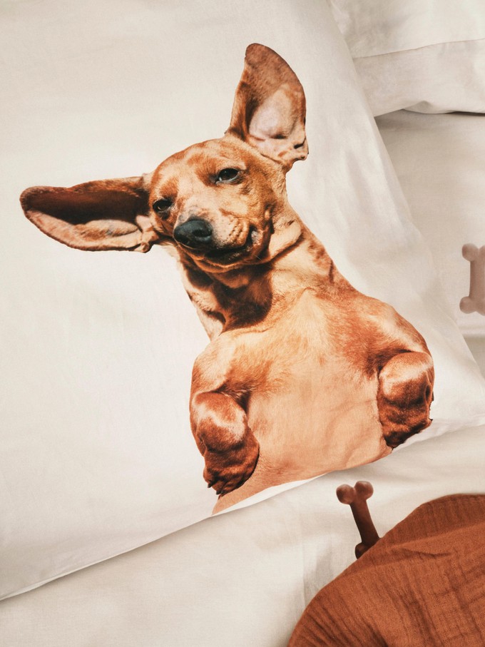 Dachshund Friends pillowcase from SNURK