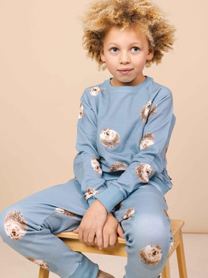 Hedgy Blue Sweater Kinderen from SNURK