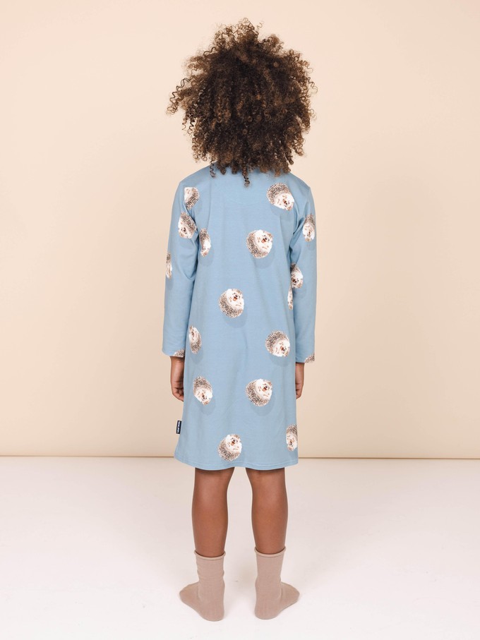 Hedgy Blue Dress long sleeve Kids from SNURK