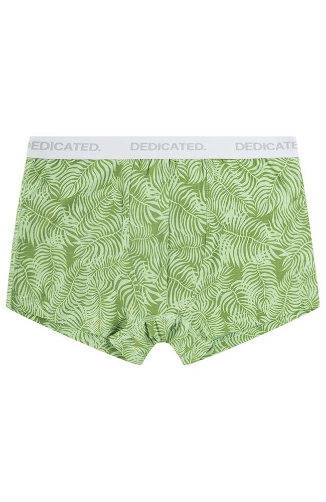 Boxer Palm Leaves from Sophie Stone