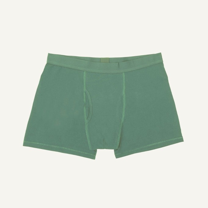 Organic Cotton Men's Boxer Brief in Willow from Subset