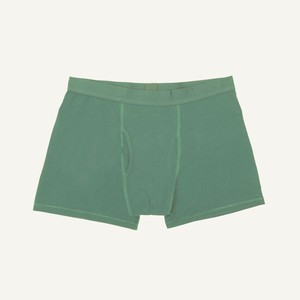 Organic Cotton Men's Boxer Brief in Willow from Subset