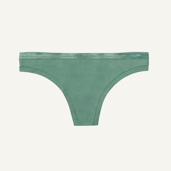 Organic Cotton Low-Rise Thong in Willow from Subset