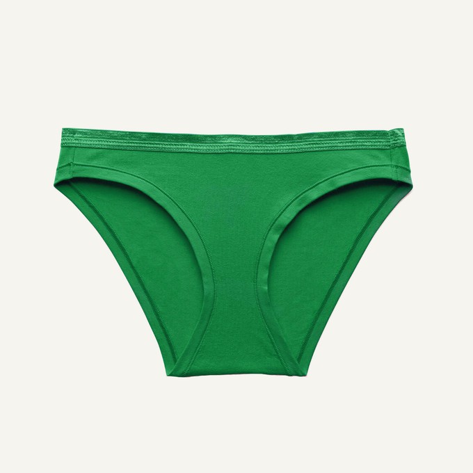 Low-Rise Bikini in Fig Leaf from Subset