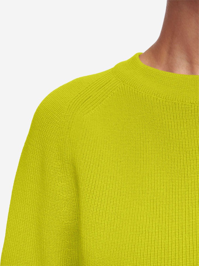 The Crewneck Sweater from TEYM