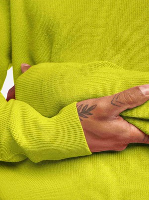 The Crewneck Sweater from TEYM