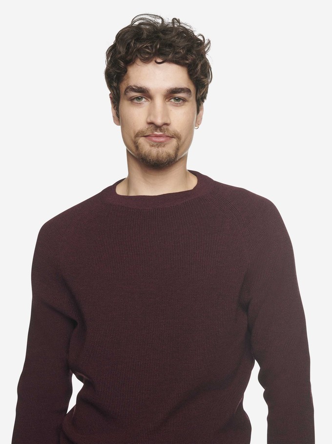 The Crewneck Sweater from TEYM