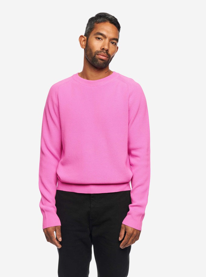 The Crewneck Sweater from TEYM