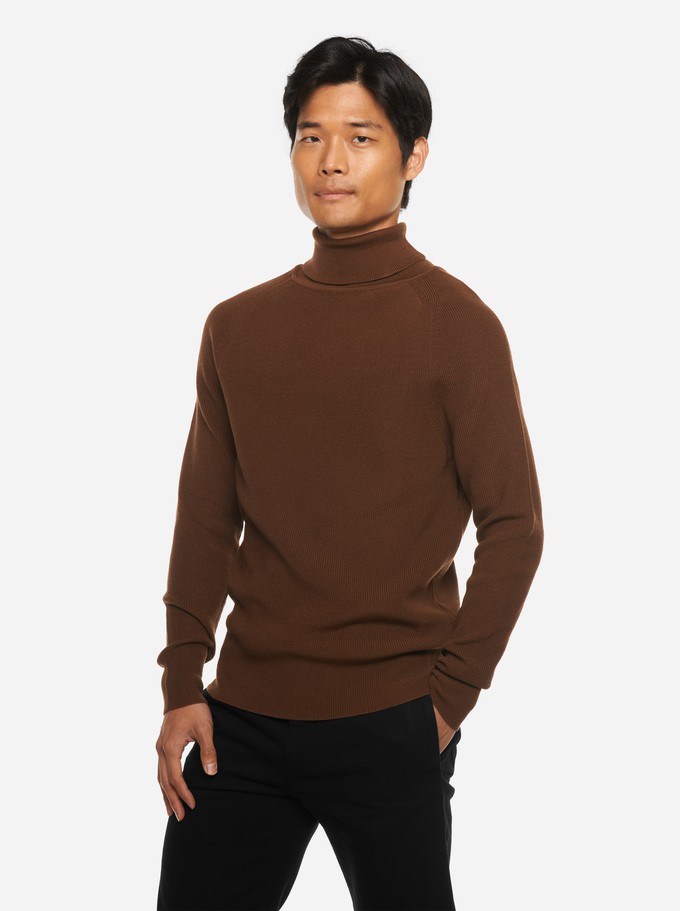 The Turtleneck Sweater from TEYM