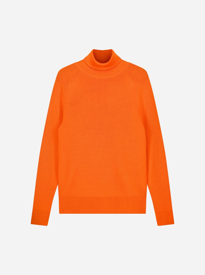 The Turtleneck Sweater from TEYM