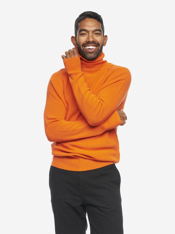 The Turtleneck Sweater from TEYM