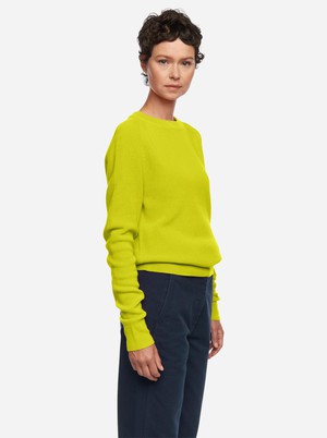 The Crewneck Sweater from TEYM