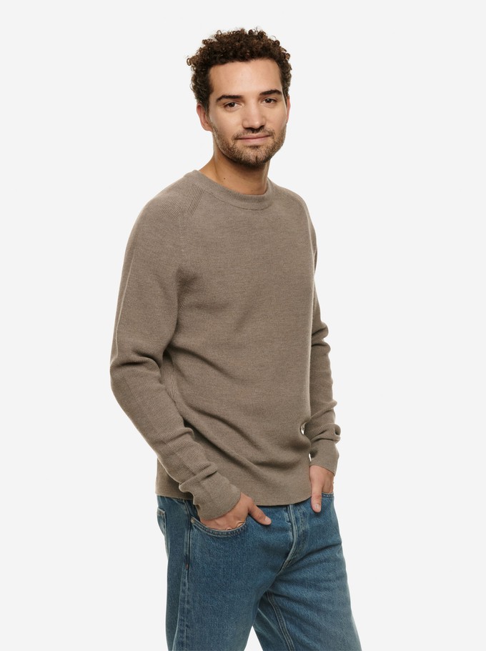 The Crewneck Sweater from TEYM