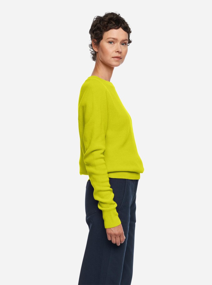 The Crewneck Sweater from TEYM