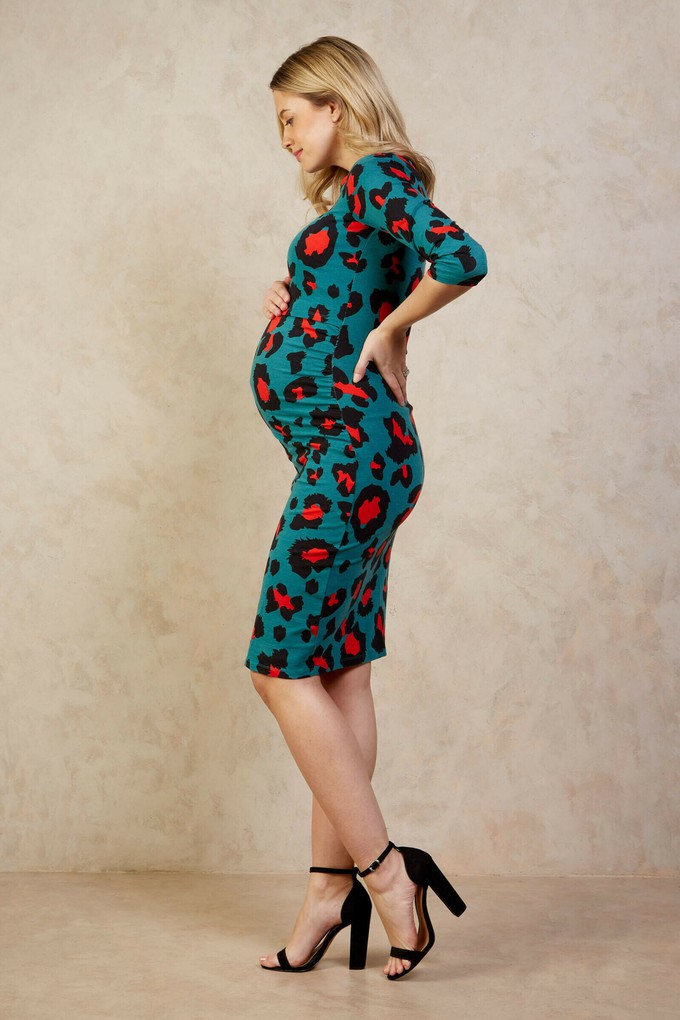 Audrey Maternity Breastfeeding Dress from Tilbea London