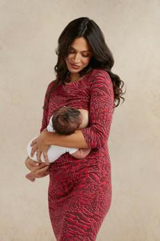Audrey Fig Animal Print Maternity and Nursing Dress from Tilbea London
