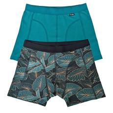 Tropic Two-Pack Boxer Briefs - Organic Cotton and Micromodal via TIZZ & TONIC