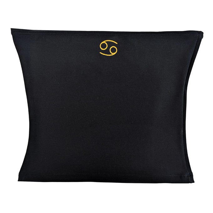 Embroidered Zodiac Tube Top from TIZZ & TONIC