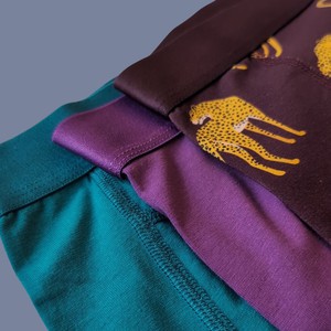 Cheetah Organic Cotton Boxer Brief from TIZZ & TONIC