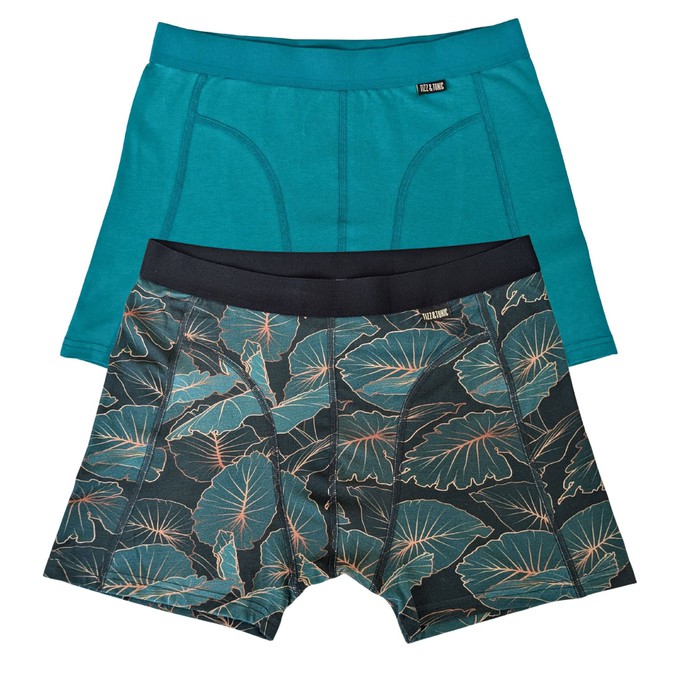 Tropic Two-Pack Boxer Briefs from TIZZ & TONIC