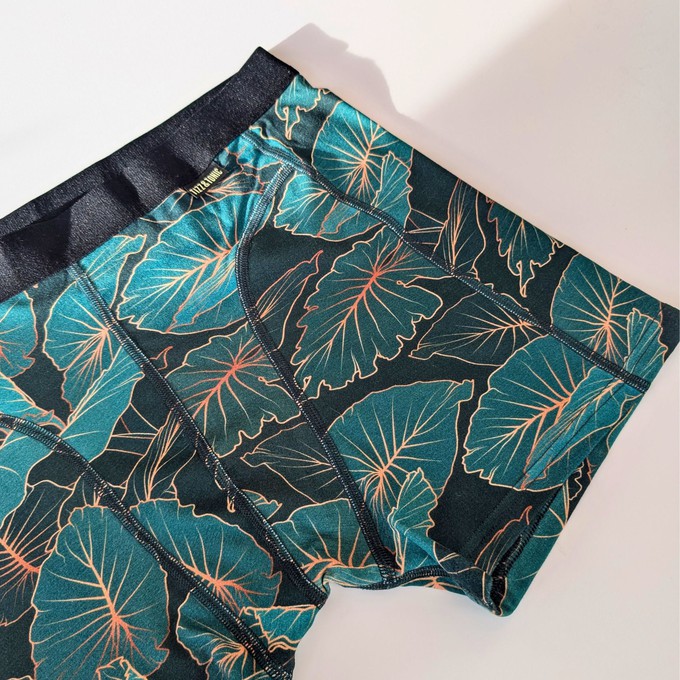 Tropic Two-Pack Boxer Briefs from TIZZ & TONIC