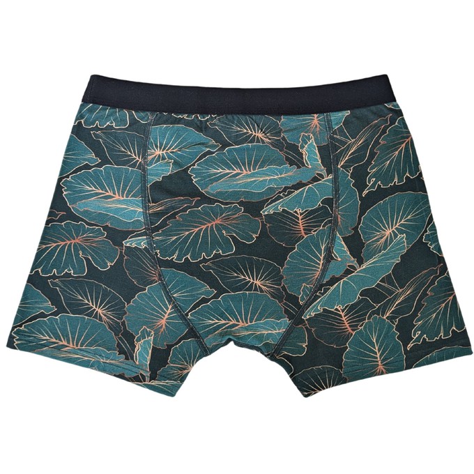 Tropic Two-Pack Boxer Briefs from TIZZ & TONIC