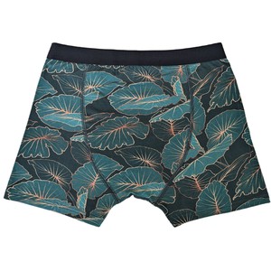 Tropic Two-Pack Boxer Briefs from TIZZ & TONIC
