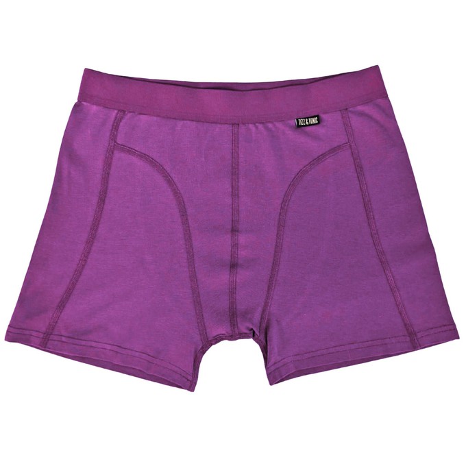 Plum Purple Organic Cotton Boxer Brief from TIZZ & TONIC