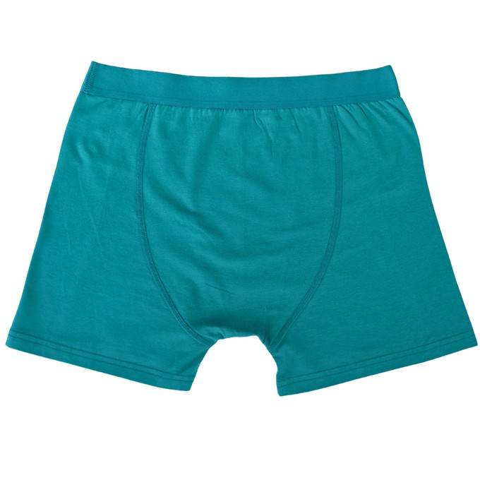 Tropic Two-Pack Boxer Briefs from TIZZ & TONIC