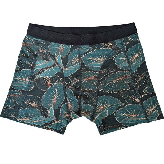 Tropic Two-Pack Boxer Briefs from TIZZ & TONIC