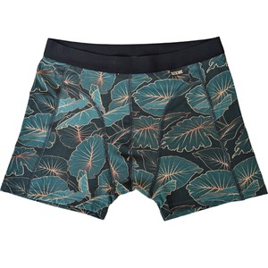 Tropic Two-Pack Boxer Briefs from TIZZ & TONIC