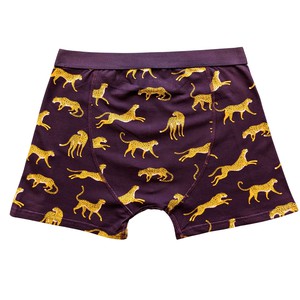 Cheetah Organic Cotton Boxer Brief from TIZZ & TONIC